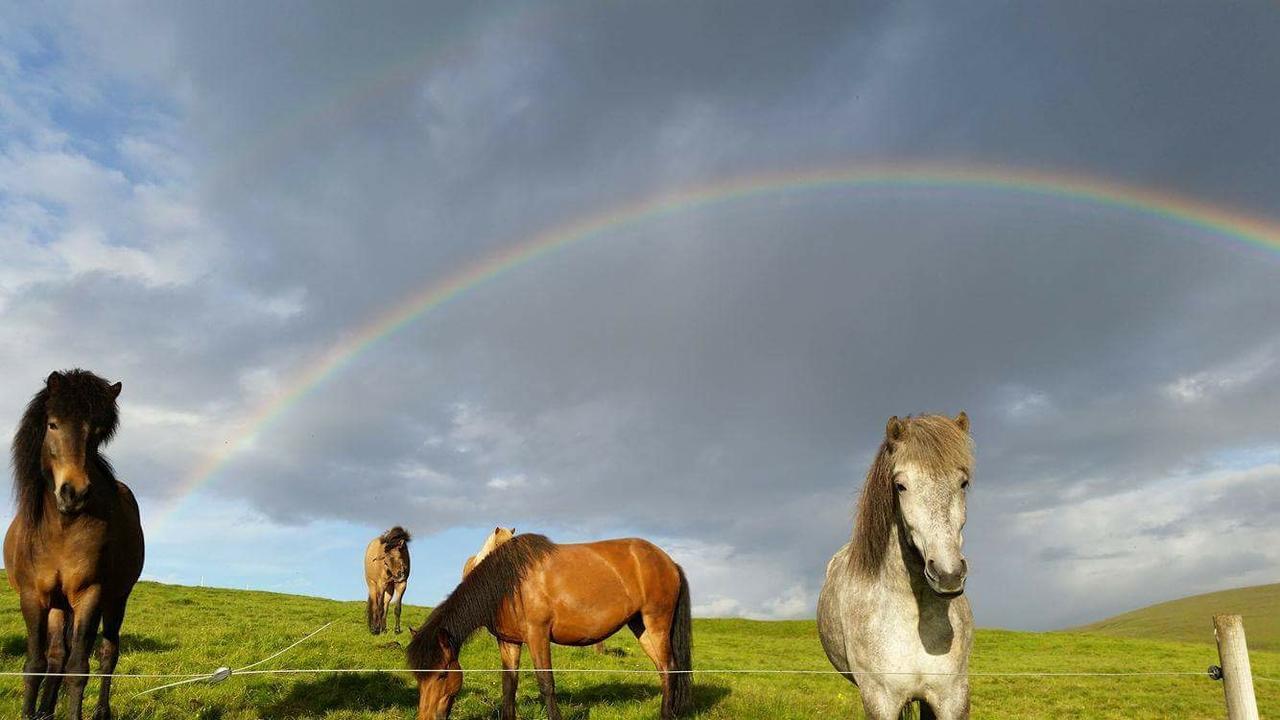 Hekla Adventures Villa Hvolsvöllur Eksteriør billede